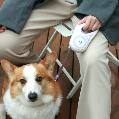 Retractable Dog Leash with Collar – Auto Lock Pet Lead with Spotlight for Small & Medium Dogs